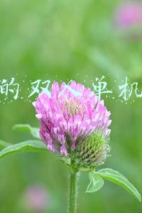 超好玩的双人单机游戏(单机太无聊？不妨来联机！这五款单机游戏联机后更好玩)