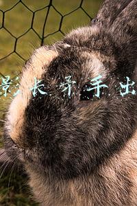 幻影长矛手出装