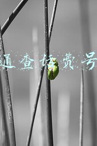 联通查话费号码拨多少(生活中需要收藏的号码大全)