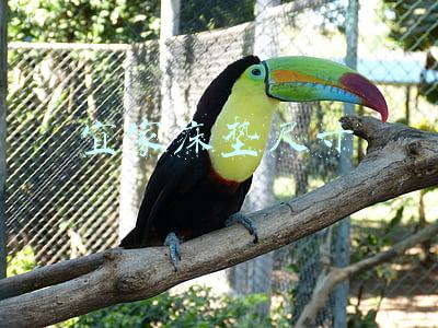 宜家床垫哪款最好用(真实测评｜我把宜家的床垫切开了)