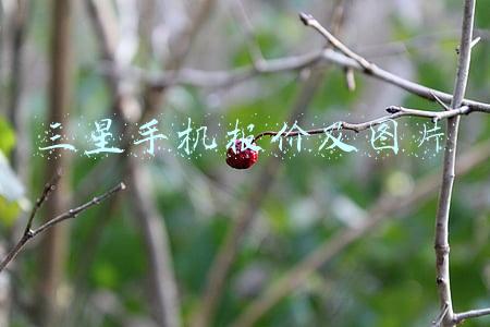 2015三星手机报价及图片(第一部曲面屏手机，三星S6系列，让我们走进2015年)