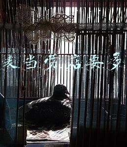 开家麦当劳店攻略，开家麦当劳详细攻略