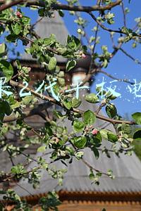 苹果2代平板电脑