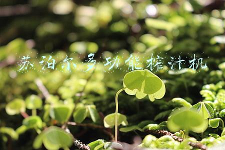 苏泊尔榨汁机(7款网红便携「榨汁机」测评：开启夏天果饮畅爽新方式)