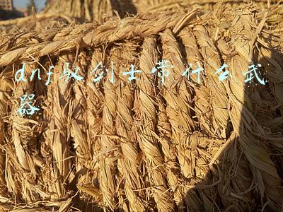 dnf驭剑士可以用光剑吗(DNF：谁是鬼剑一姐？剑帝无悬念登顶，但剑宗有话要说)
