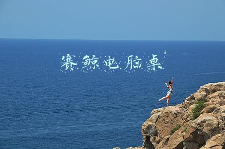 赛鲸电脑桌