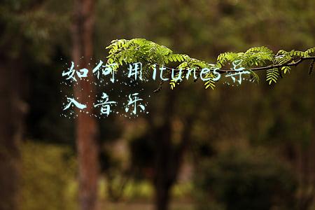 如何用itunes导入音乐到ipad(如何使用iTunes将WMA转换为MP3？)