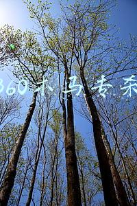 360木马专杀大全(“360 安全卫士极速版”上线：无弹窗广告，功能简洁)