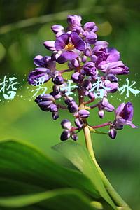范思哲男士香水价格