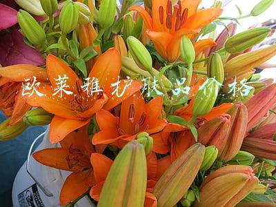 欧莱雅护肤品(欧莱雅品牌升级，就多了个圈)