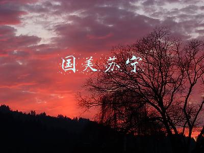 国美苏宁
