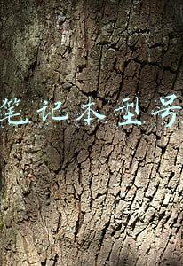 联想笔记本型号(2021联想笔记本电脑选购指南，笔记本电脑推荐)
