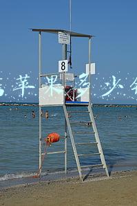 大连瓦房店苹果产地-大连瓦房店苹果多少钱一斤
