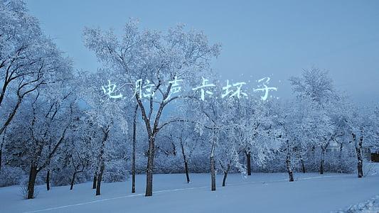 电脑声卡坏了