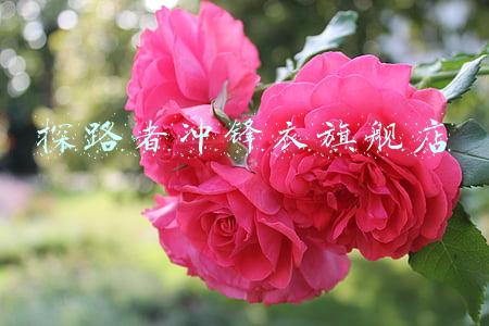 toread探路者冲锋衣(防水防雪防油污，一衣多穿！探路者城市户外系列冲锋衣评测)