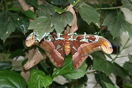 微信上不去了 微信上不去了