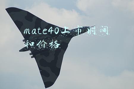 mate40上市时间和价格pro(华为mate40/40pro/pro+价格表 国行与海外版售价对比)