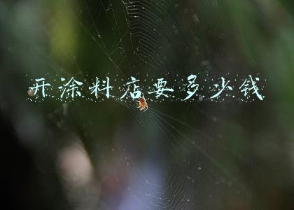 涂料店设计《涂料店设计图》