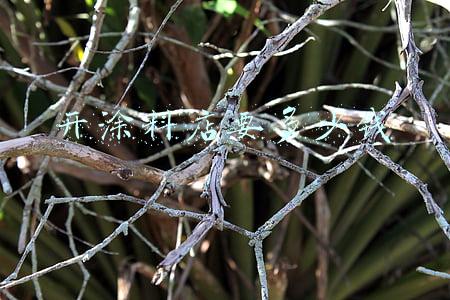 开涂料店(开涂料店要投资多少钱)