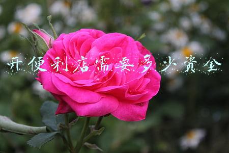 便利店投资一般多少钱可以搞好便利店：便利店投资一般多少钱可以搞好