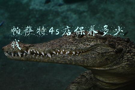 大众帕萨特4s店保养价格表；大众帕萨特4s店保养一次多少钱