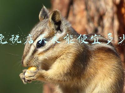 免税店的手表能便宜多少;免税店手表一般便宜多少