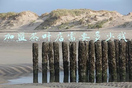 茶叶店加盟费用 茶叶门店加盟费多少钱