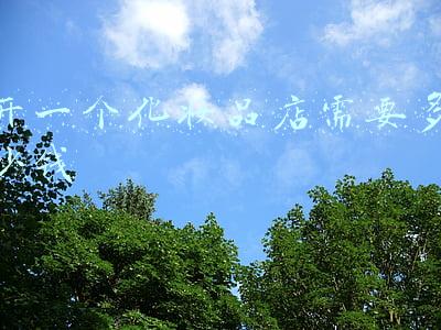 开一个美妆店需要多少钱(开个化妆品店大概得多少钱的资金)