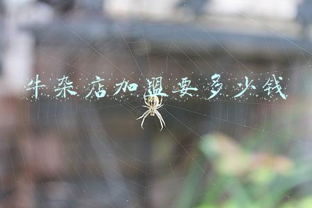 萝卜牛杂加盟品牌（萝卜牛杂店加盟）