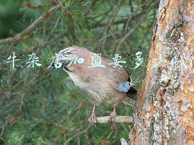 阿婆牛杂店加盟连锁火爆招商中_阿婆牛杂店加盟
