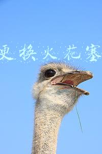 4s店更换火花塞多少钱