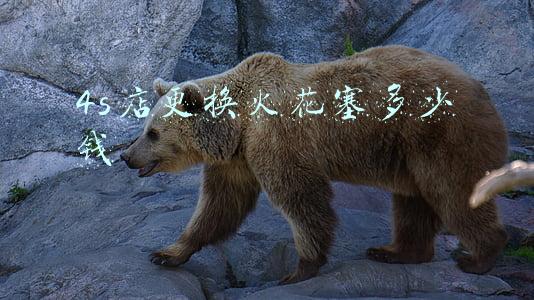 在汽修店换火花塞一般多少钱《修车店换火花塞一般多少钱》