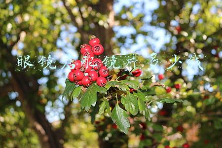 一般眼镜店配镜多少钱;眼镜店配眼镜一般多少钱