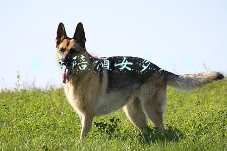 去夜场陪酒要注意些什么(夜店陪酒女可以怎么玩)