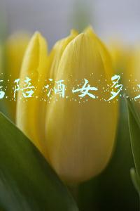 夜店陪酒女叫什么(陪酒女叫啥)