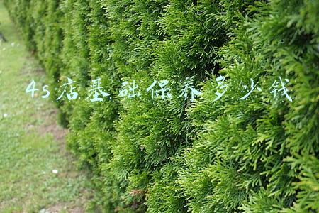 4s店送的基础保养-4s店送的基础保养包括什么