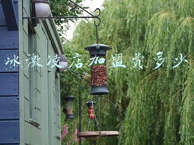 冰激凌店加盟连锁-冰激凌加盟店连锁店