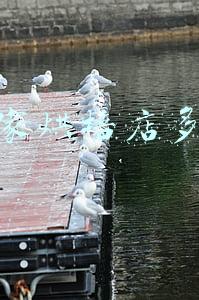 开个烘焙店大概投资多少，开烘焙店需要投资多少钱