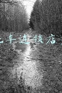 洗车加盟费需要多少钱(洗车加盟店要多少钱?)