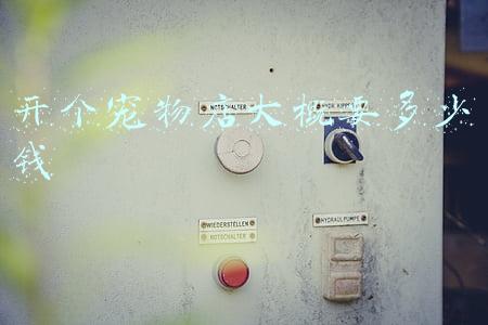 一家宠物店大概需要多少投资；一个宠物店大概需要投资多少钱