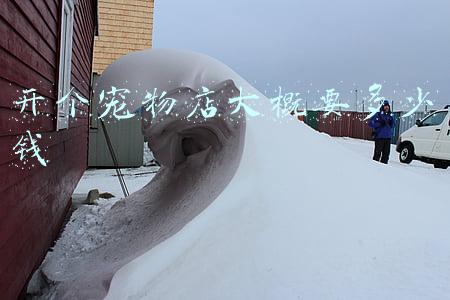 开个宠物店需要多少钱-开个宠物店要多少钱