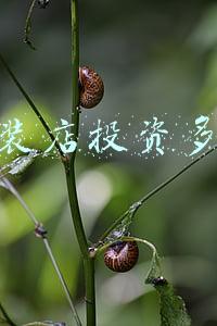 开童装店一月挣多少钱；开童装店一年能挣多少钱