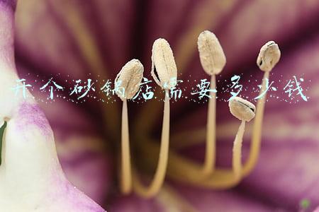 开砂锅店要准备什么_开砂锅店前期的准备