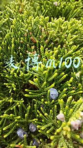 麦博m100电路图(Soomal十年推荐评级幕后回忆录50条  「Soomal」)