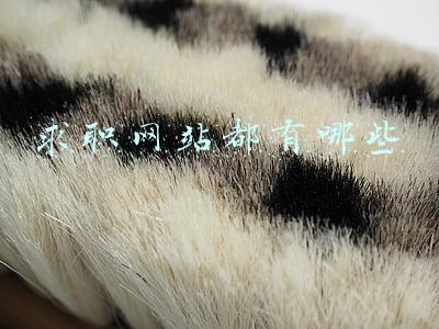 正规的求职网站(找工作，哪些招聘平台更靠谱？)