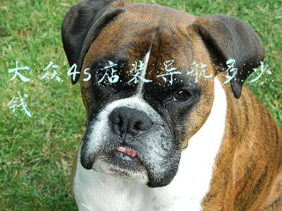 大众4s店安装大屏导航多少钱 汽车安装大屏导航多少钱
