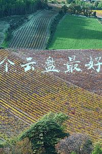 哪个云盘最好用