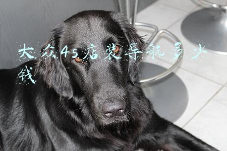 大众4s店装导航多少钱