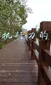 什么是执行力的三要素