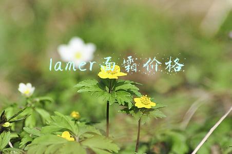 lamer面霜价格